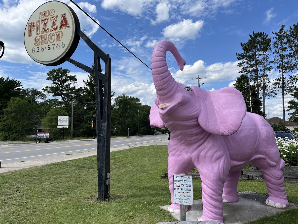 Mio Pizza Shop Photos 2